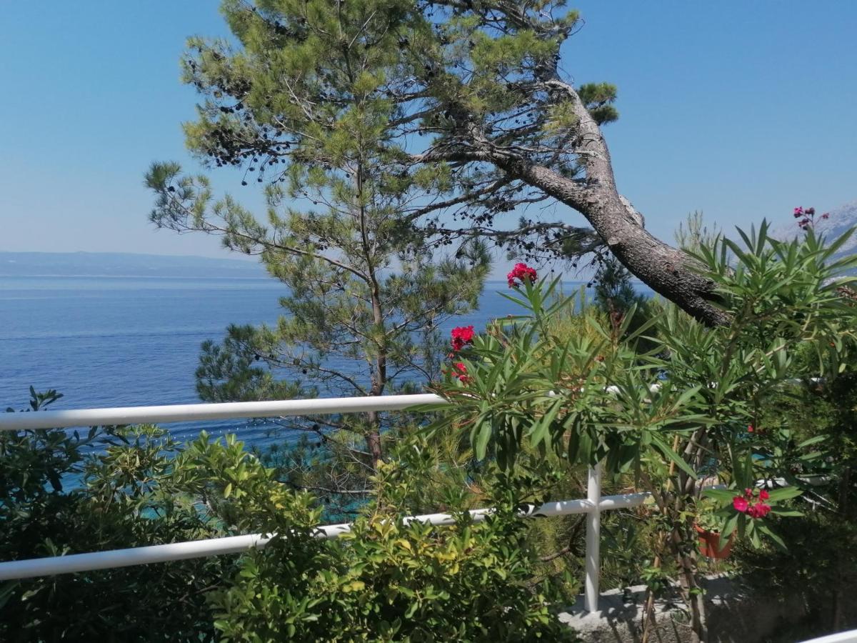 Apartmani Mares - 20 M From The Beach Brela Ngoại thất bức ảnh