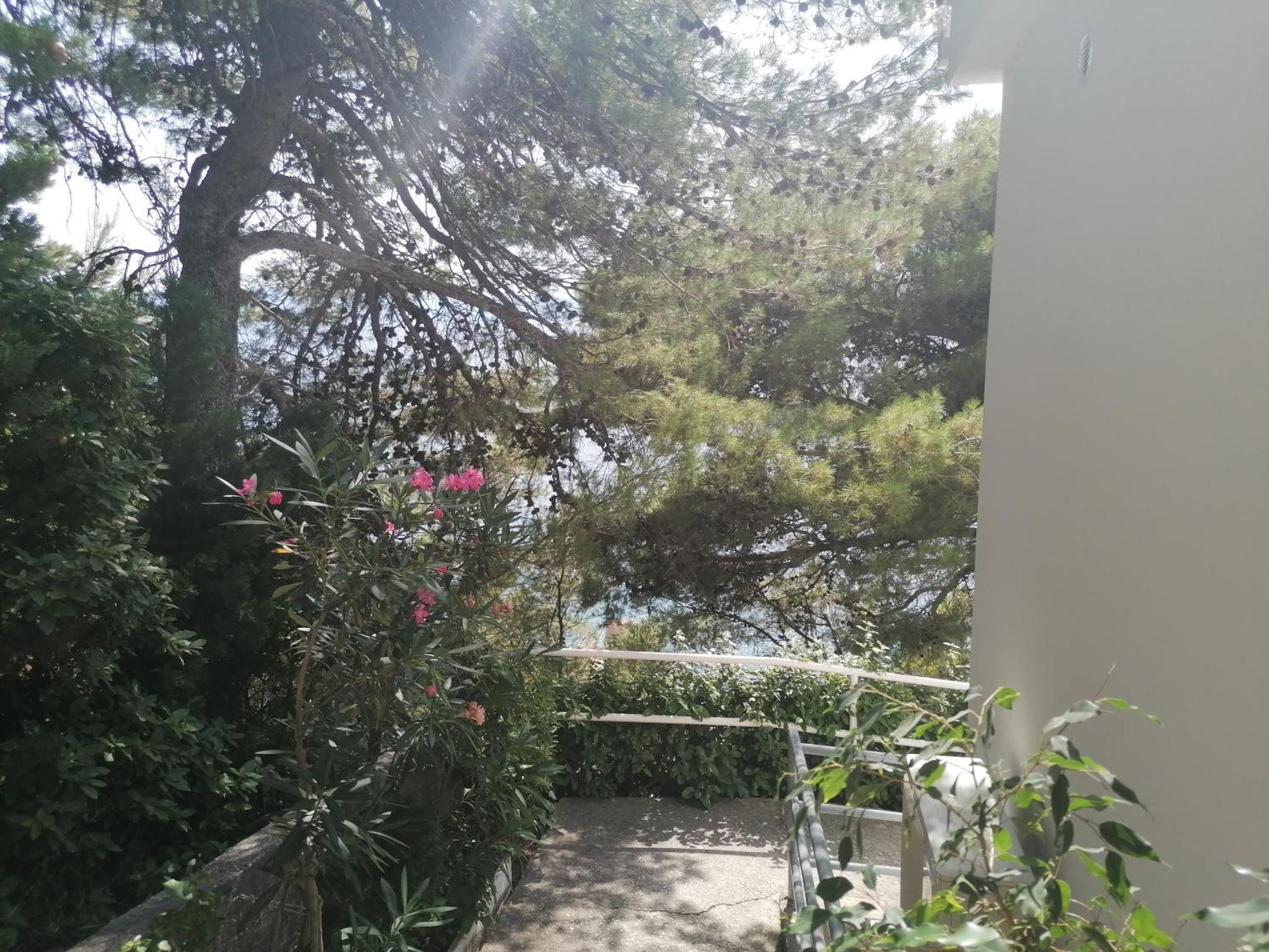 Apartmani Mares - 20 M From The Beach Brela Ngoại thất bức ảnh